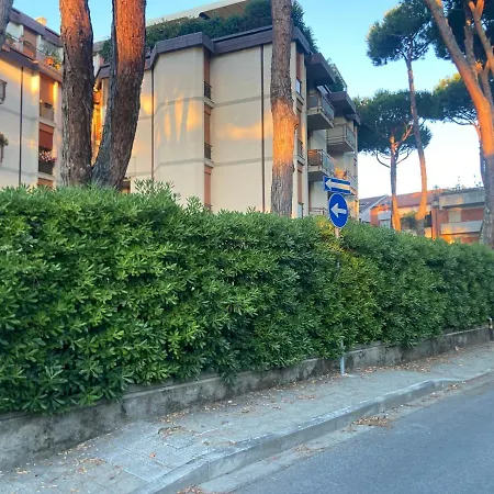 Bellissimo Piano Terra Con Ingresso Indipendente E Parcheggio Privato